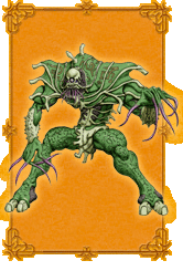 KANIMISO